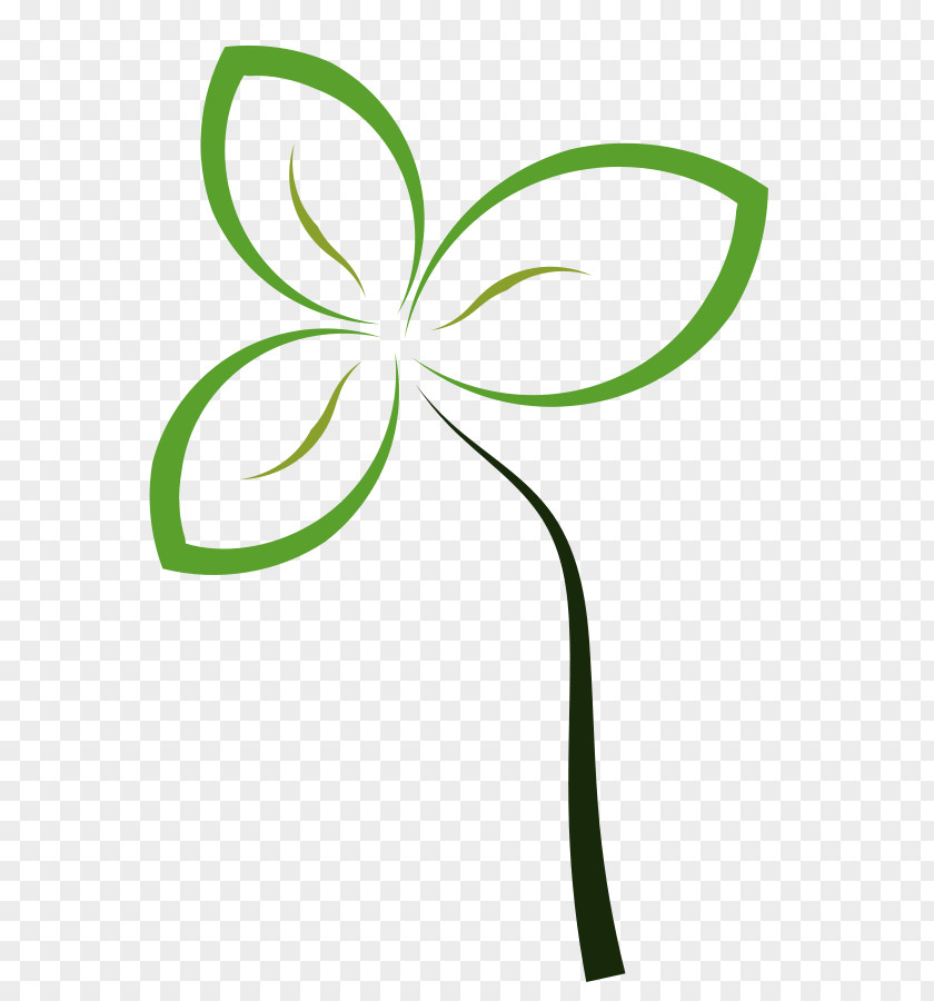 Flower Petal Outline Sprouting Seed Brussels Sprout Clip Art PNG