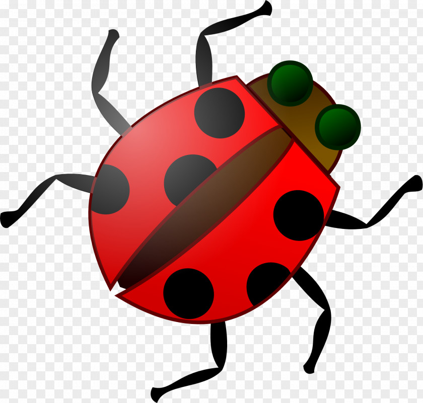 Ladybug Beetle Software Bug Clip Art PNG