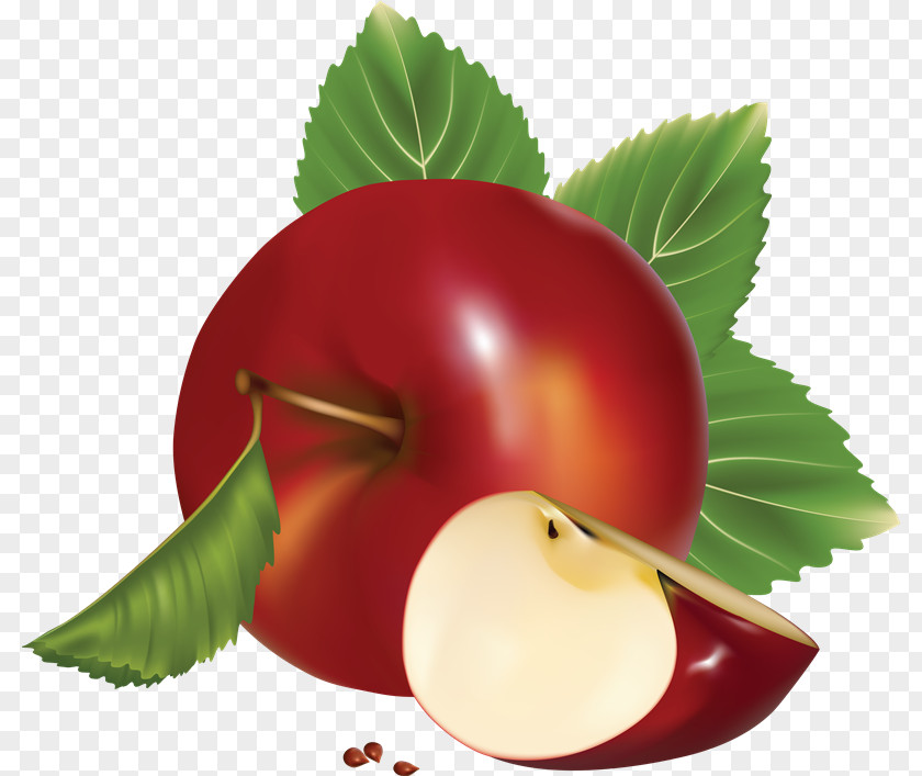 Apple Macintosh Clip Art Icon Image Format PNG