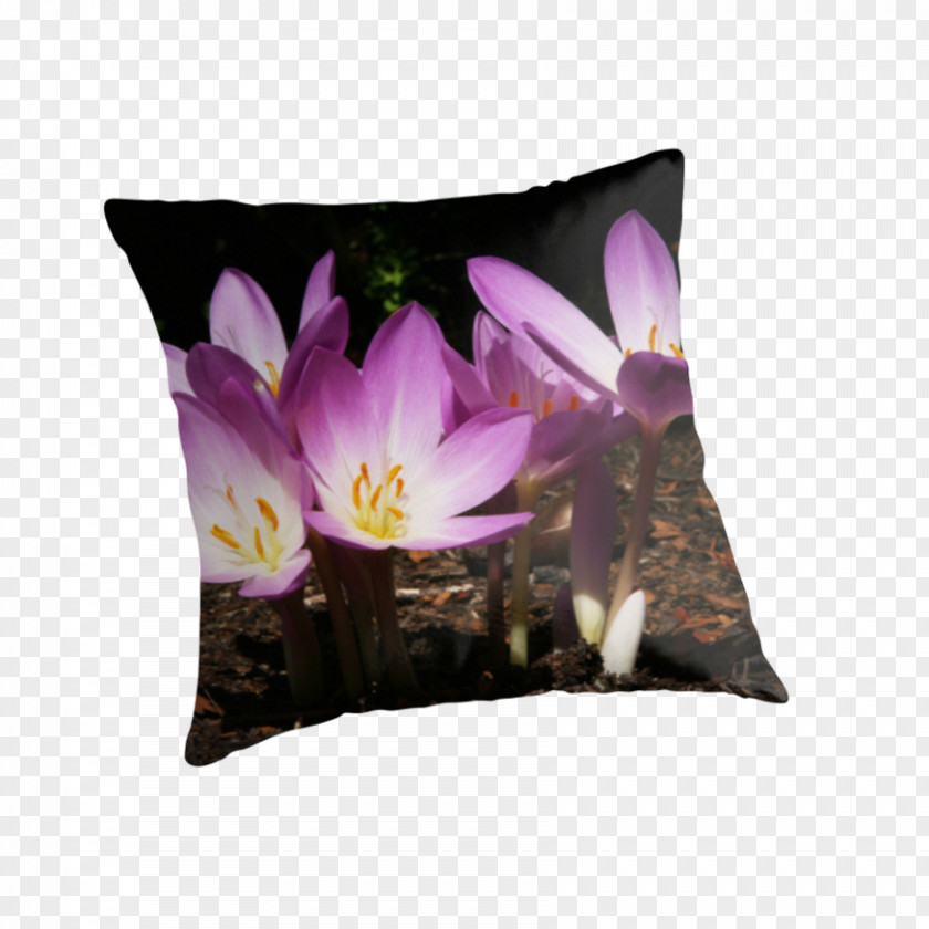 Certificate Of Shading Throw Pillows Cushion Violet Flowering Plant PNG