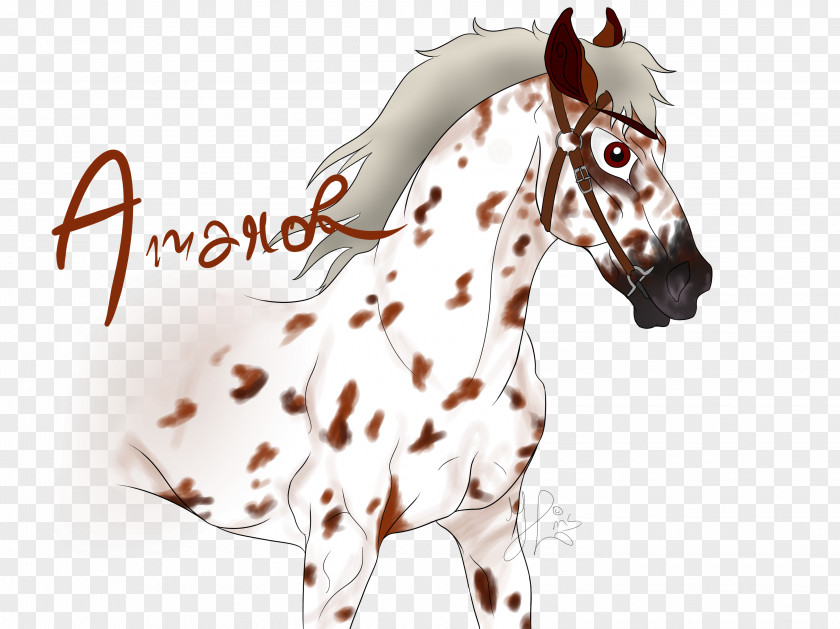 Mustang Stallion Pony Colt Art PNG