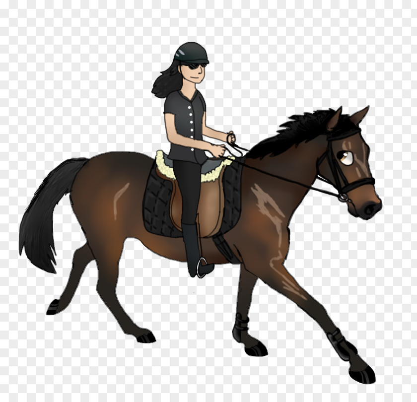 Star Stable Horse Hunt Seat Bridle Stallion PNG