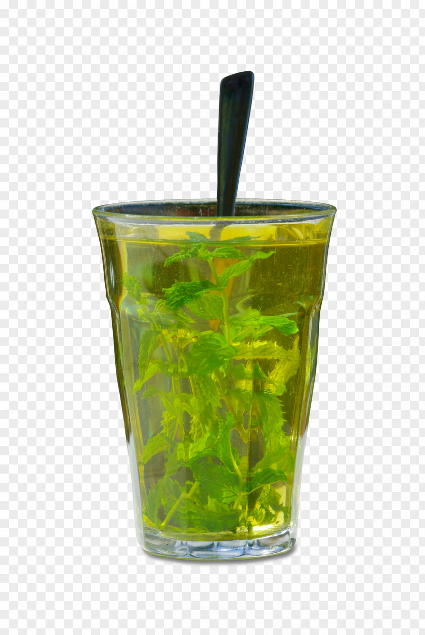 Cup Mint Home Remedy Health Disease Gallstone Food PNG