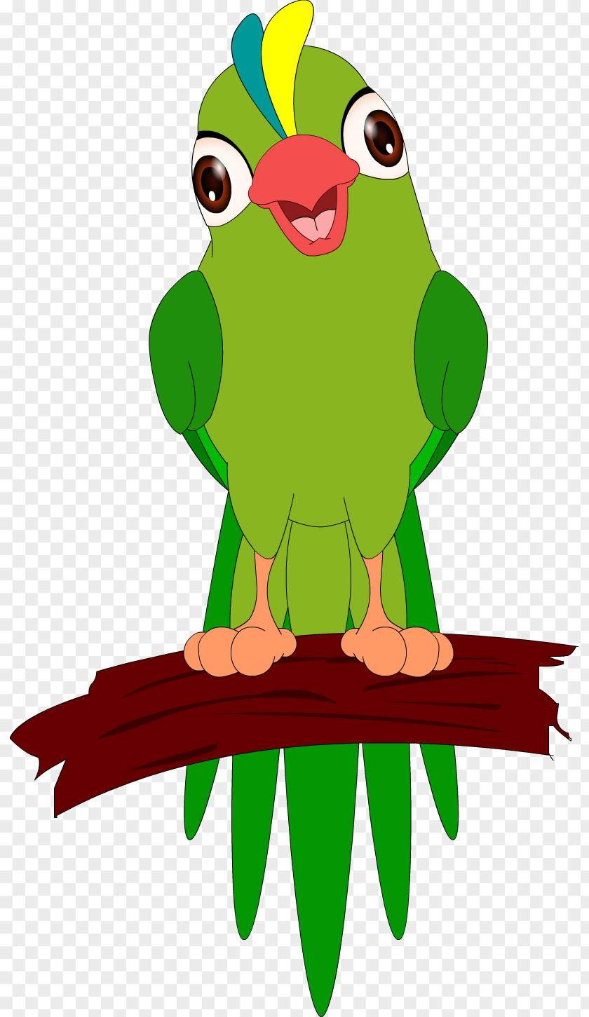 Frog Macaw Parakeet Tree Clip Art PNG