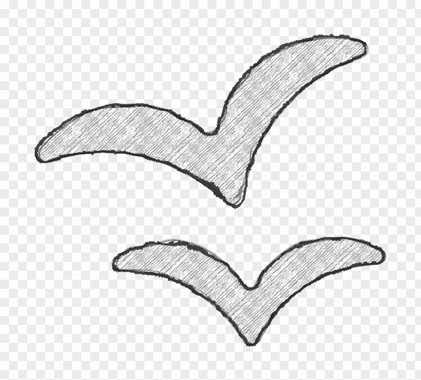 Sailing Set Icon Animals Seagull PNG