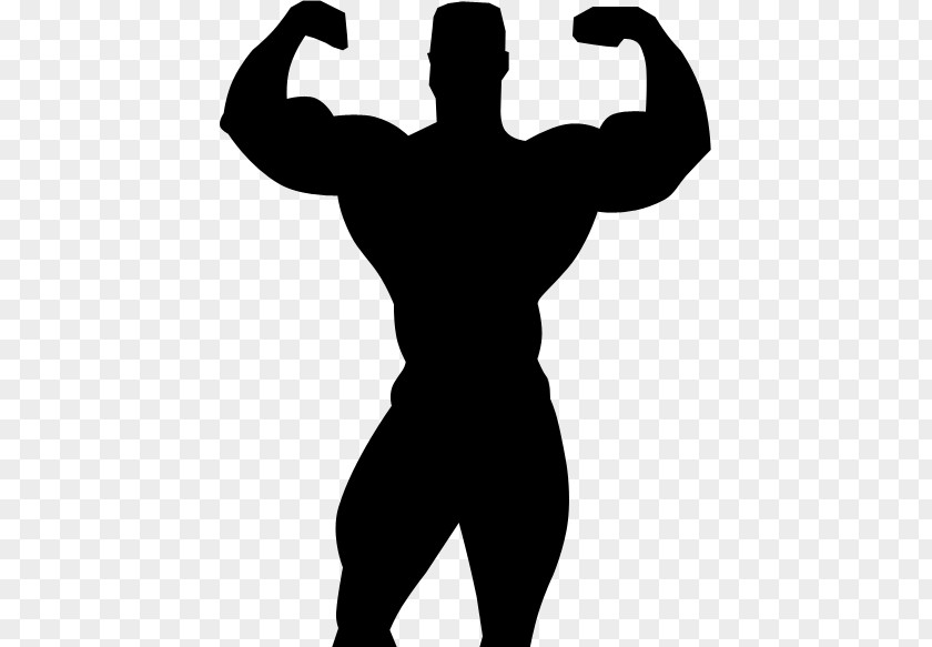 Silhouette Bodybuilding Professional Wrestling Clip Art PNG