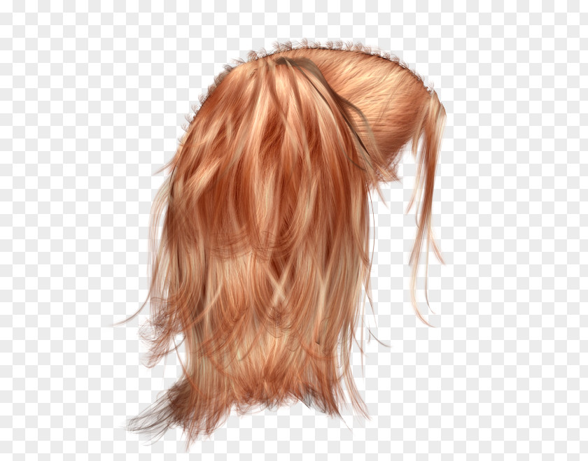 Hair Brown Wig Adobe Photoshop Clip Art PNG