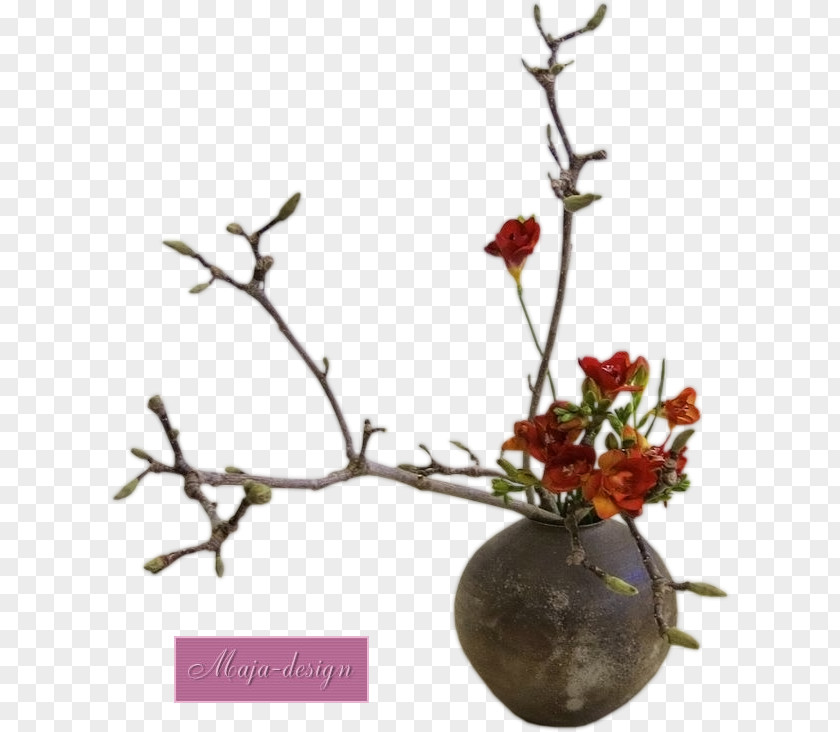 Hu Japanese Flower Arrangement: Ikebana Floral Design Floristry PNG