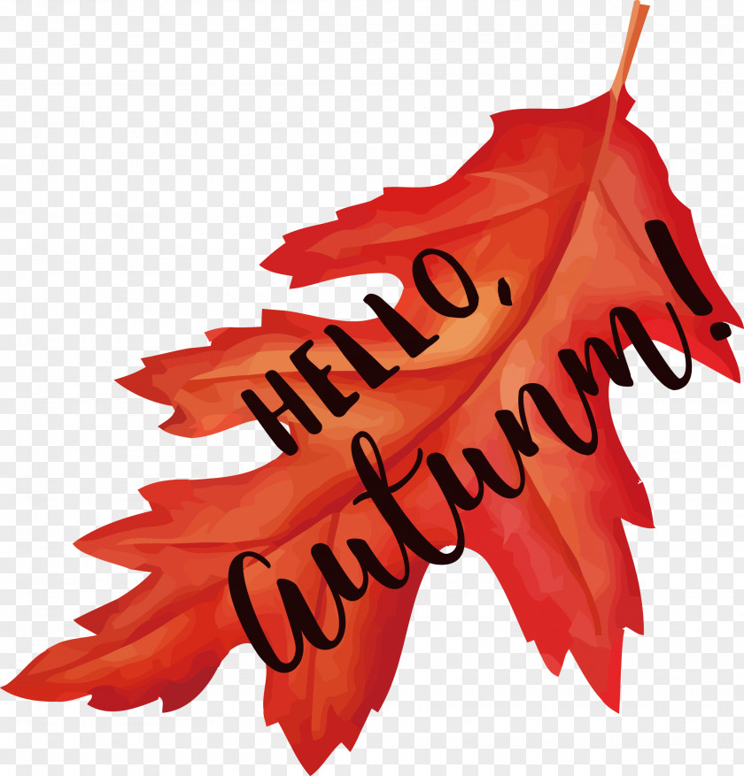 Maple Leaf Autumn Design Home Page PNG