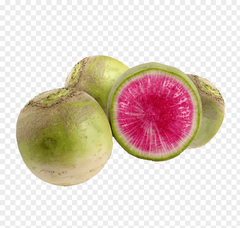 Radish Vegetable Daikon Fruit Image PNG