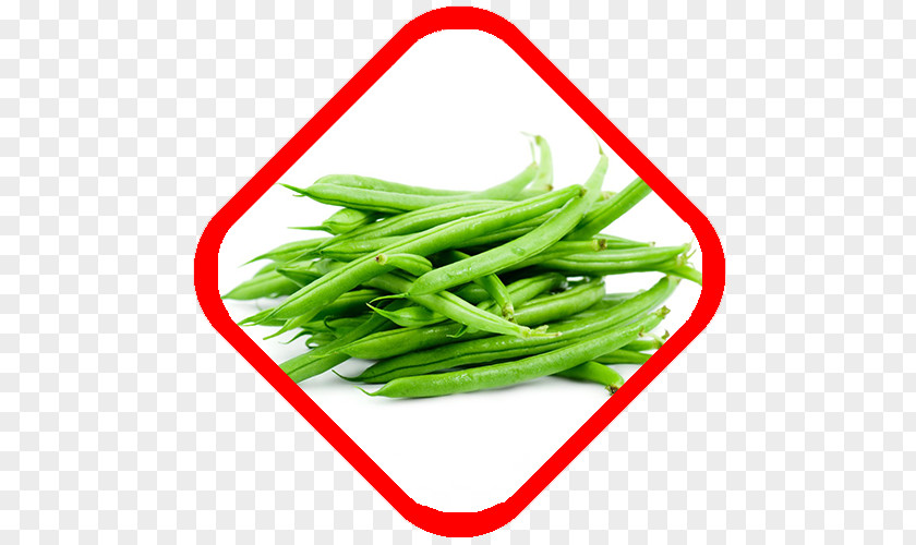 Vegetable Green Bean French Cuisine Common PNG