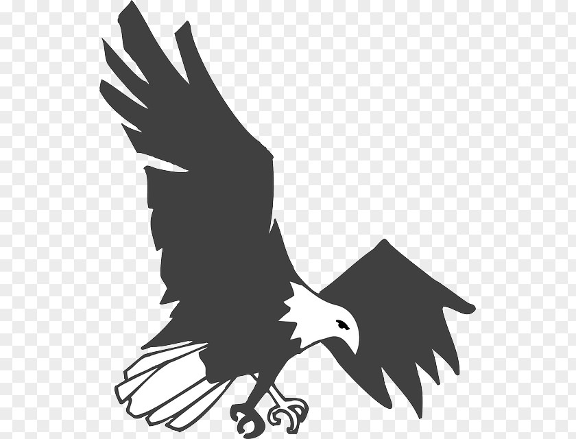 Animal Claws Stock Photography Eagle Drawing Clip Art PNG