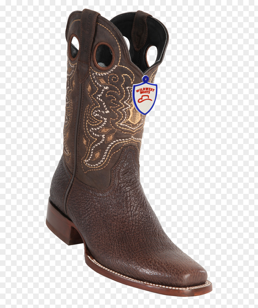 Boot Cowboy Caiman Shoe PNG