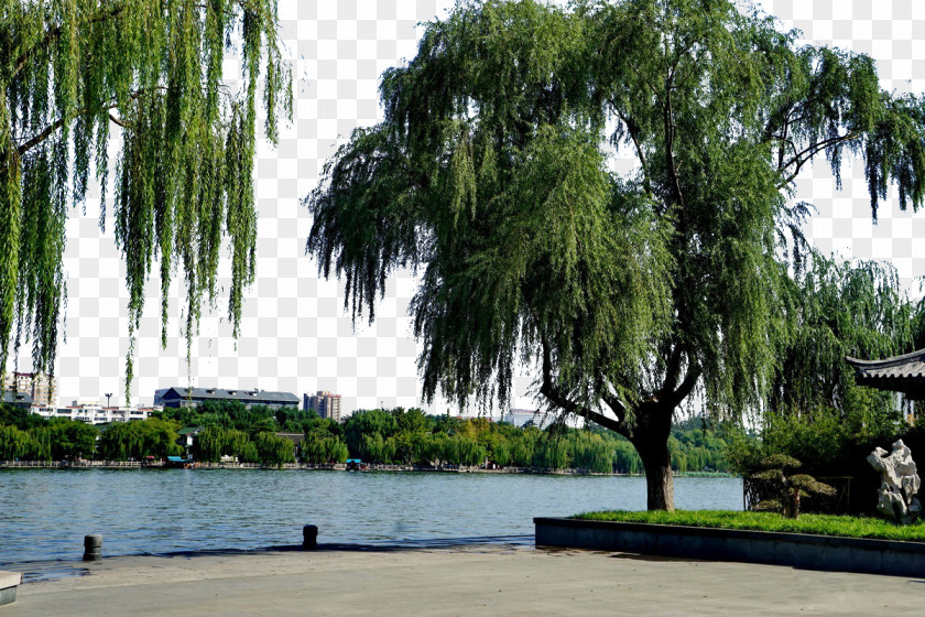 Daming Lake Scenery Tourist Attraction Image Resolution PNG