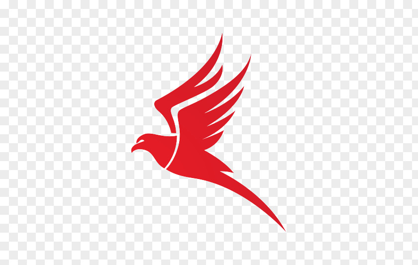 Falcon Logo Drawing PNG