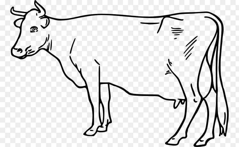 Goat Ayrshire Cattle White Park Ox Clip Art PNG
