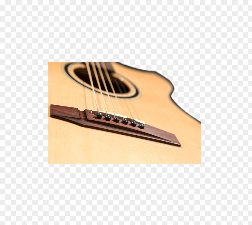 Guitar Sound Board Rosewood Pickguard Rosette PNG