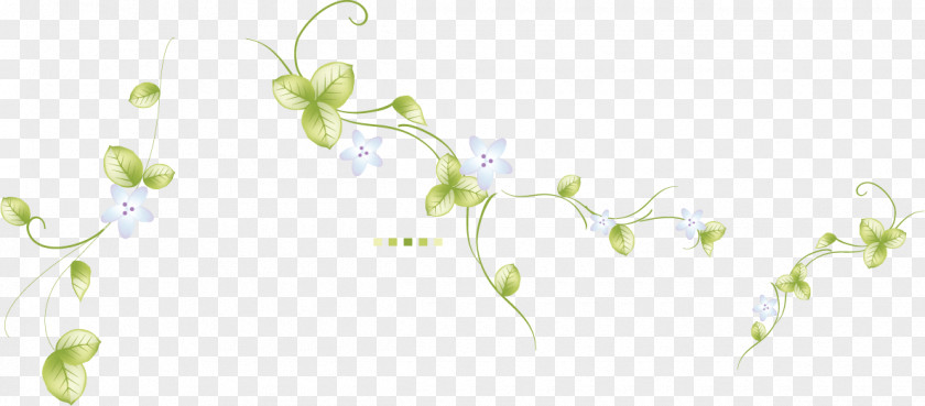 Lovely Green Background Spring Promotional Material Floral Design Leaf Twig PNG