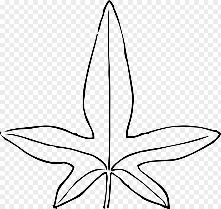 Plant Lines Ivy Leaf Clip Art PNG