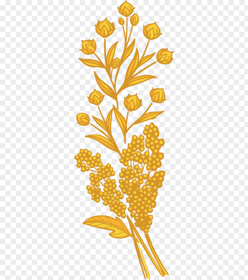 Sesame Oil Quinoa Floral Design Plant Stem Clip Art PNG
