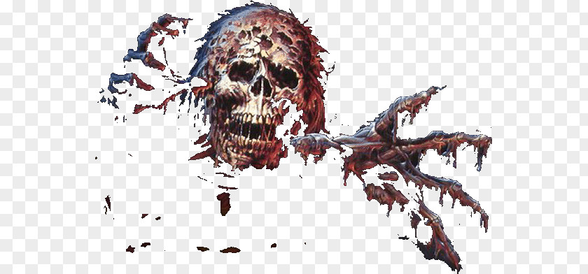 Skeleton Skull Desktop Wallpaper Organism PNG