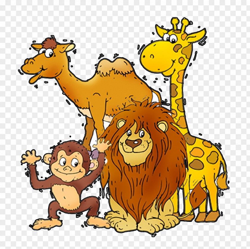 Camel Animal Image Cat PNG