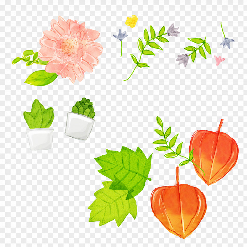 Cartoon Plant Bonsai Flowerpot Illustration PNG