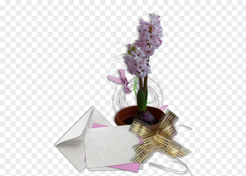 Flower Floral Design Cut Flowers Hyacinth Photography PNG