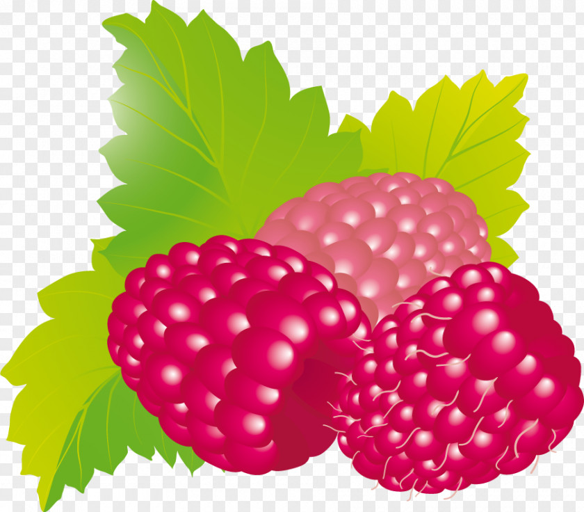 Limon Food Raspberry Health Clip Art PNG