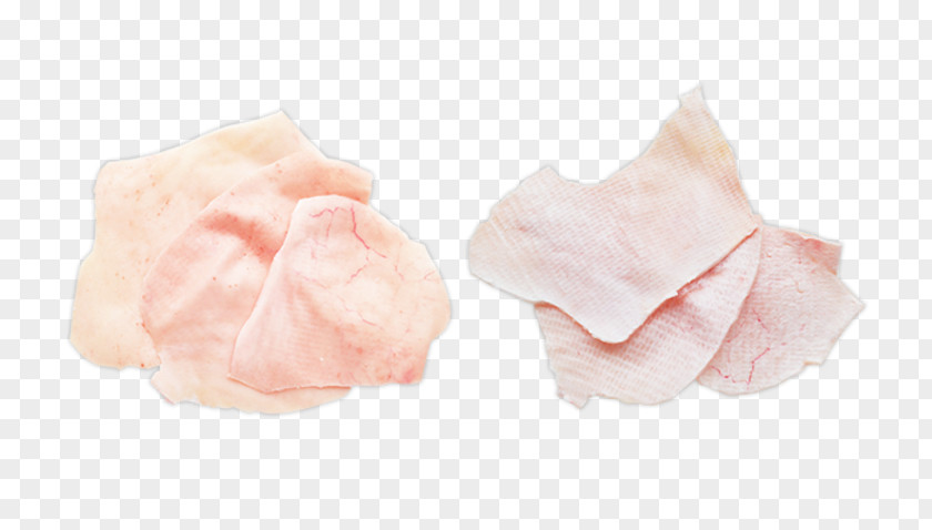 Pork Belly Pink M Petal PNG