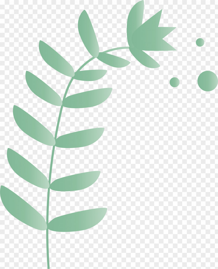 Branch Plant Stem Leaf Flower Green PNG