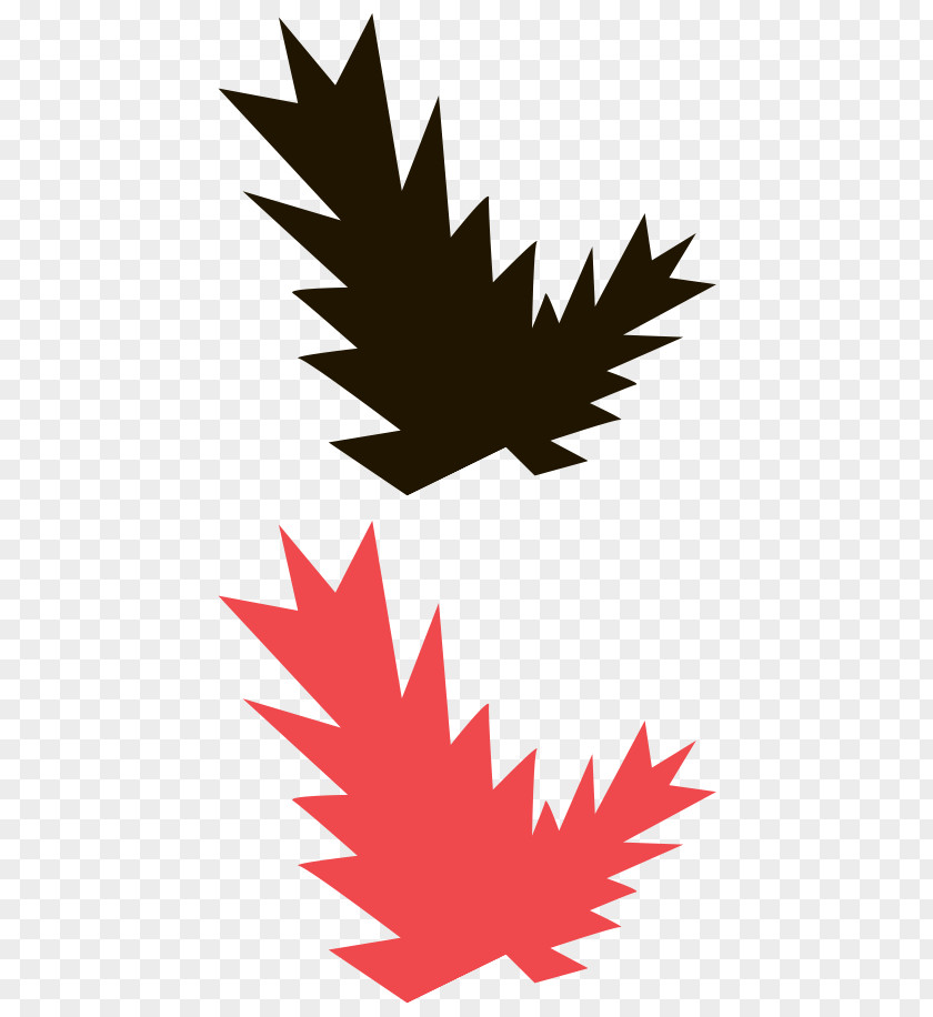 Maple Leaf Clip Art Line PNG