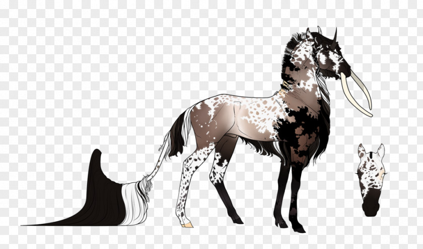 Odd Mustang Foal Stallion Colt Pony PNG