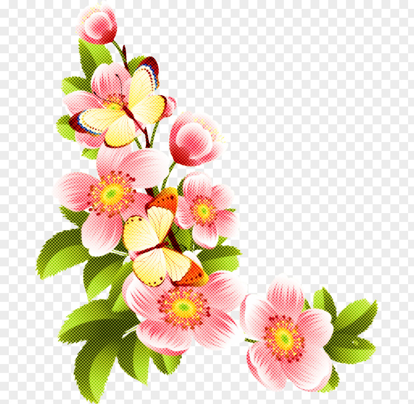 Spring Prickly Rose Flower Flowering Plant Petal Pink PNG