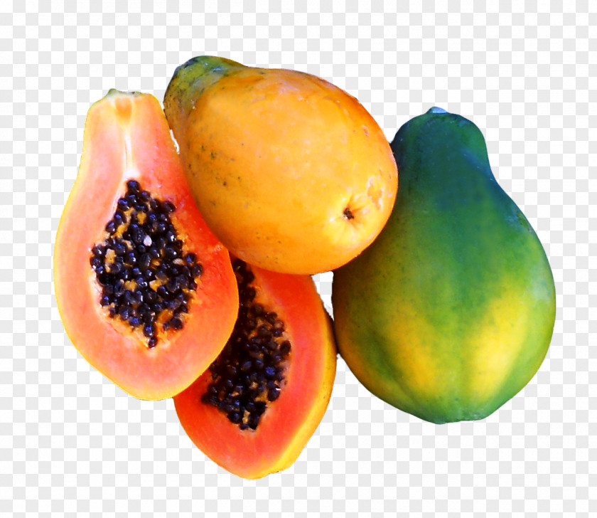 Tropical Fruit Papaya Seed Tree PNG