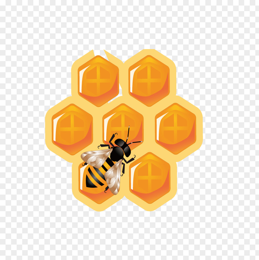 Vector Bee Hive Honey Honeycomb Icon PNG