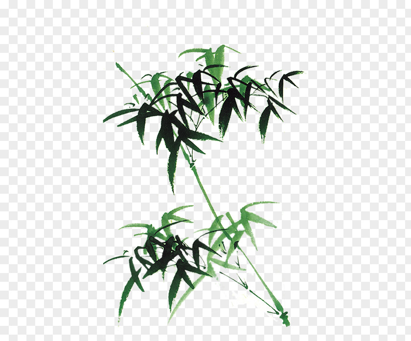 Bamboo Template PNG