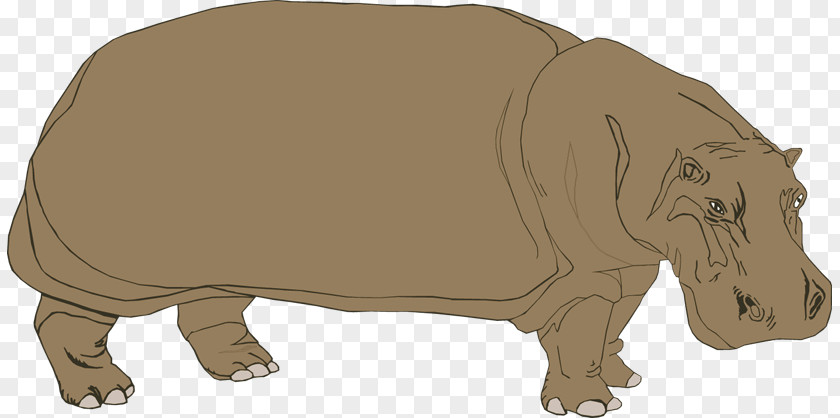 Hippopotamus Images Stock.xchng Clip Art PNG