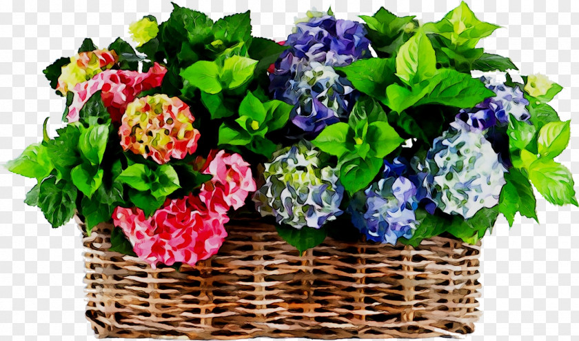 Hydrangea Floral Design Cut Flowers Flower Bouquet PNG