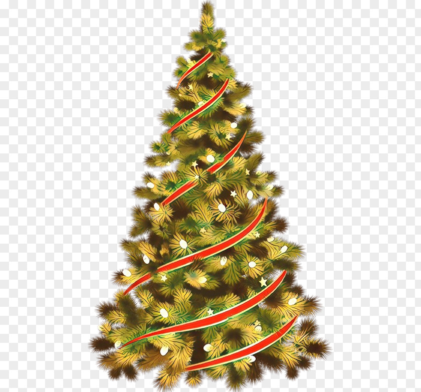 Spruce Balsam Fir Christmas Tree PNG