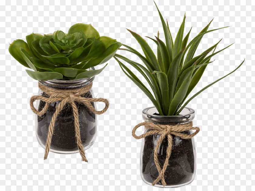 Suculent Succulent Plant Artificial Flower Glass Ceramic PNG