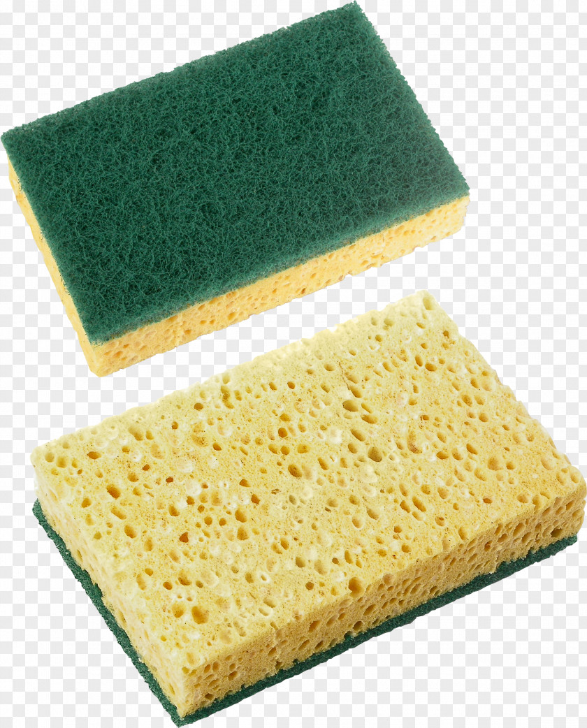Bath Sponge Download Digital Image PNG
