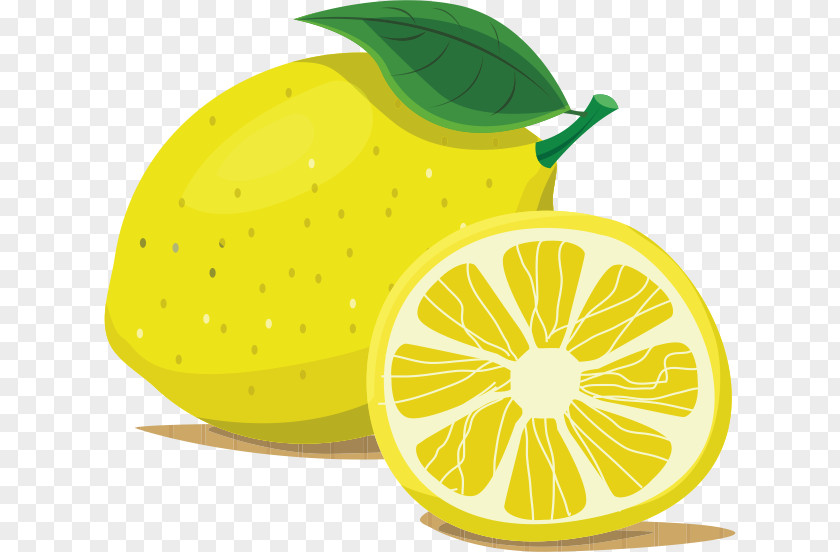 Lemon Cartoon PNG