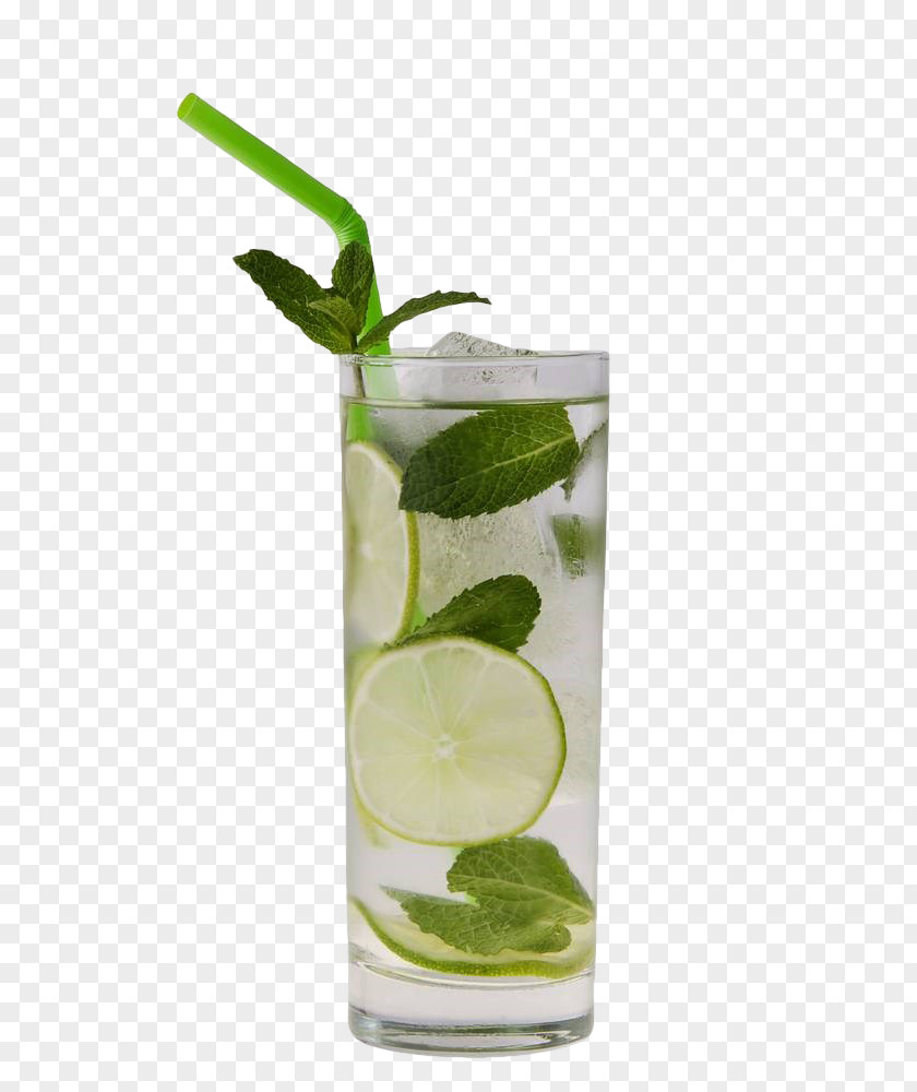 Mint Lime Drink Mojito Cocktail Rickey Vodka Tonic Rebujito PNG