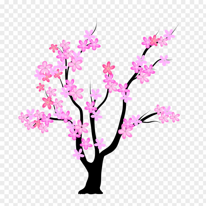 Peach Blossom Vector Graphics Clip Art Tree Image Illustration PNG