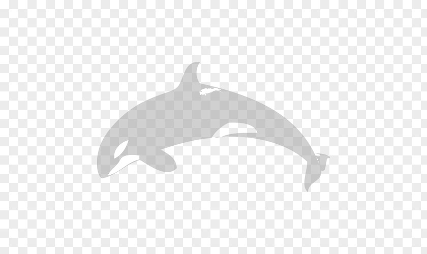 Whale Watercolor Porpoise Common Bottlenose Dolphin Cetacea Marine Mammal PNG