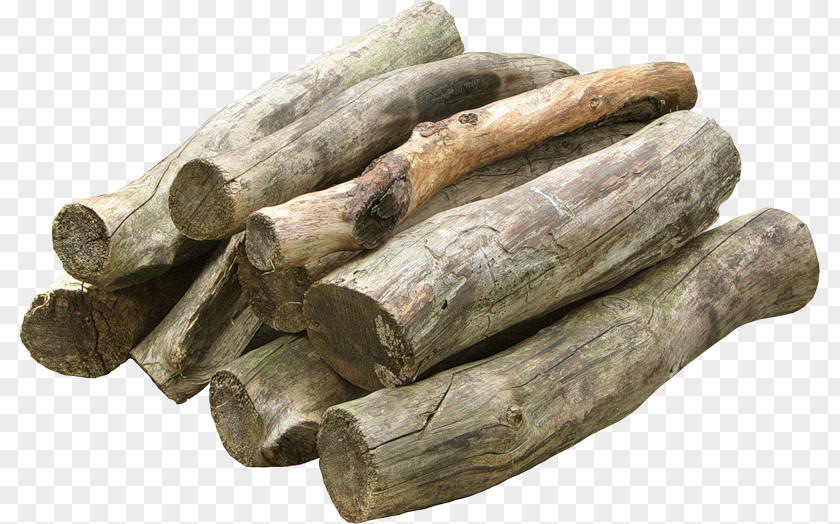 Wood Paper Firewood Lumber Hirsi PNG