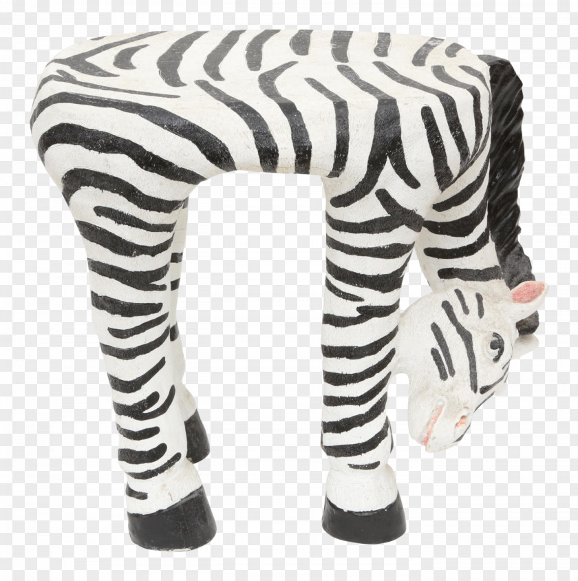 Zebra Leggings Neck PNG