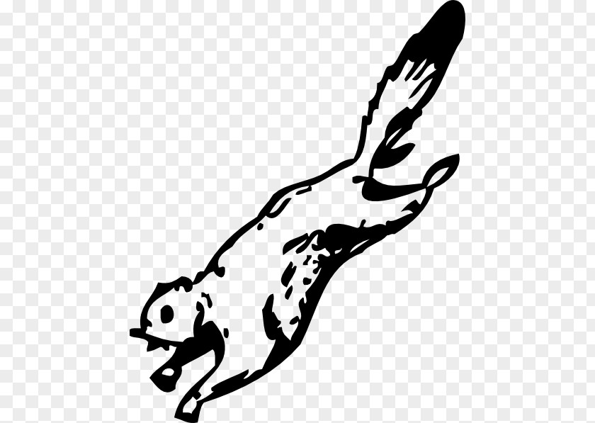 Flying Squirrel Coloring Page Clip Art PNG