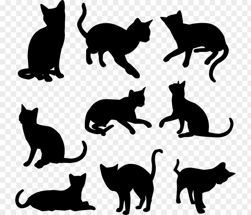 Kitten Siamese Cat Pet Black Clip Art PNG